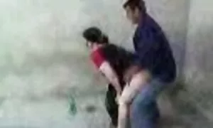 ازبیک بالغ مقعد پلگ۔