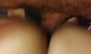 فلپائنا کتے سٹائل fu ...