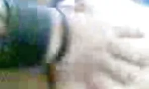 مالائی ایکشن 5 1 این ...